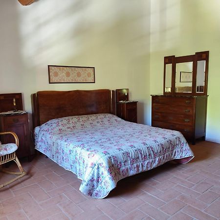 Casa Daria, Armonia Del Passato Nel Rispetto Della Natura Donoratico Exterior photo